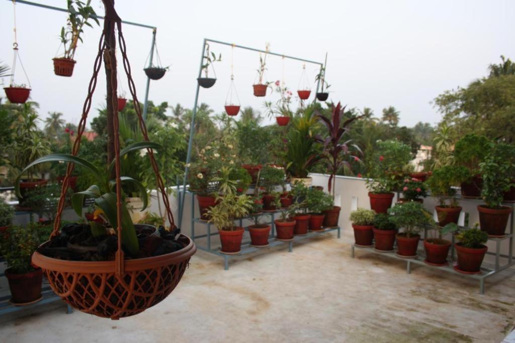 Aaron'S Homestay Kochi エクステリア 写真